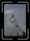 roue de la mort 003 * 2336 x 3504 * (2.21MB)